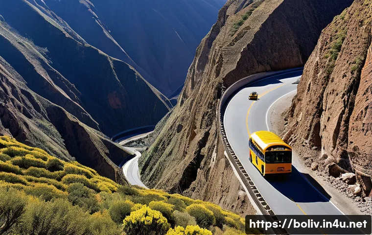 볼리비아 재난 실태, 상상 초월 기후 위기 현장 엿보기 3 볼리비아에서 발생한 주요 재난 관련 이미지 1